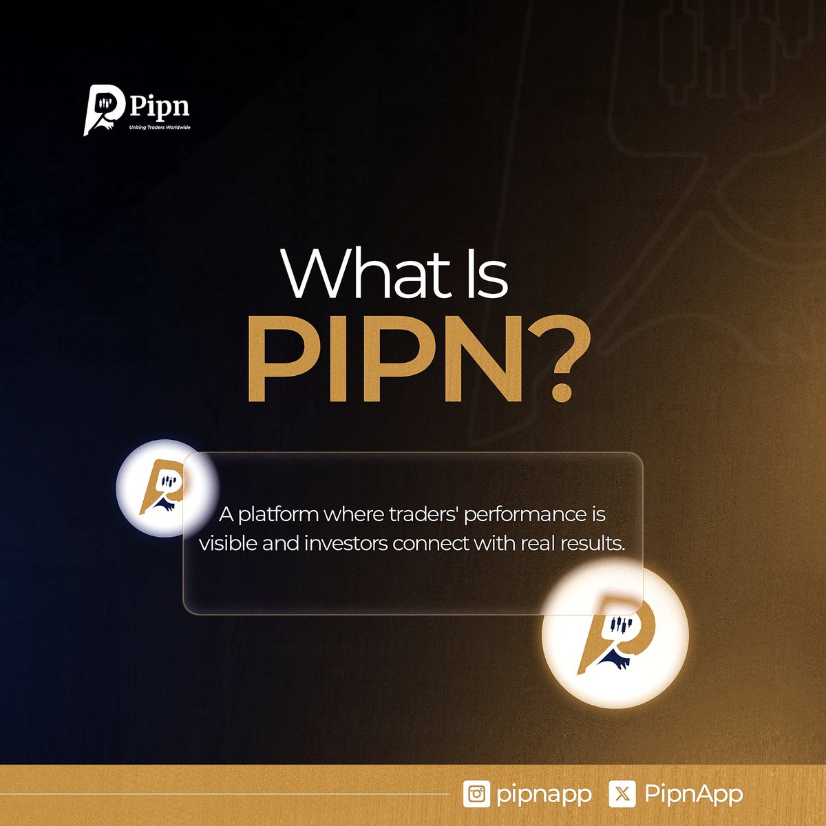 Pipn tweet media