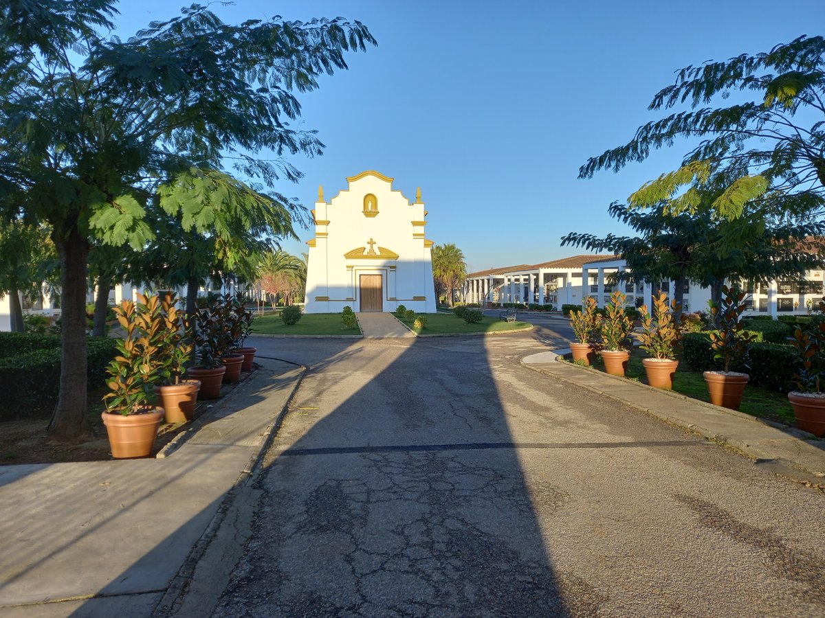 JMR #SonreírEsGratis tweet media