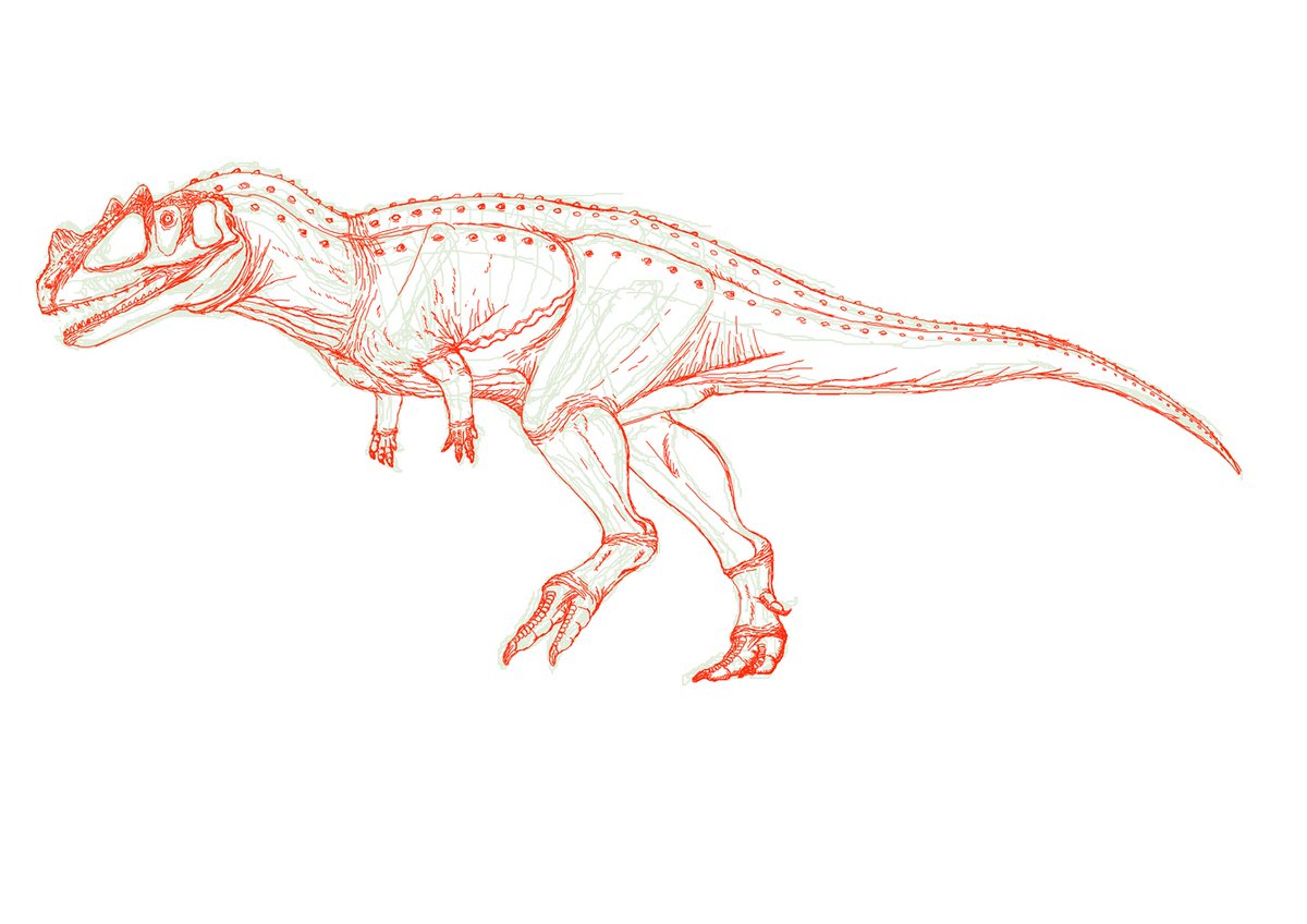 Bull.Falcon (@FalconBull) / Posts / X