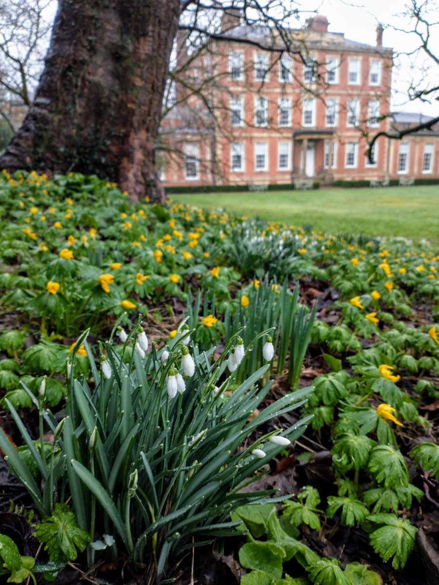 Middlethorpe Hall NT tweet media