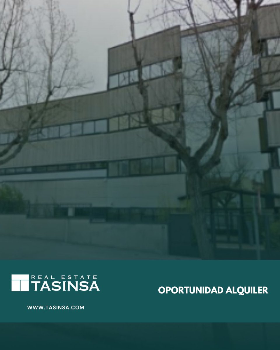 TASINSA Real Estate tweet media