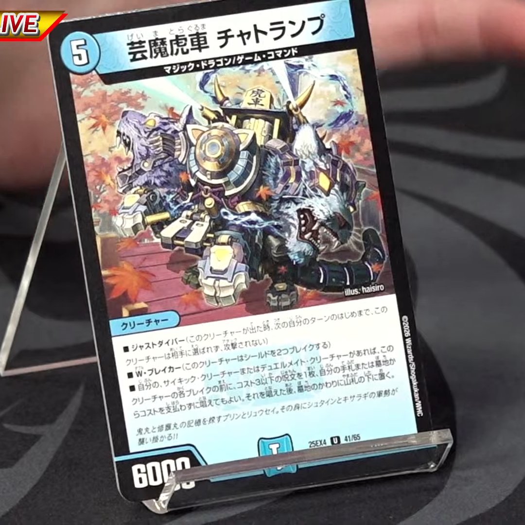 チャトラ様 チャトラ様