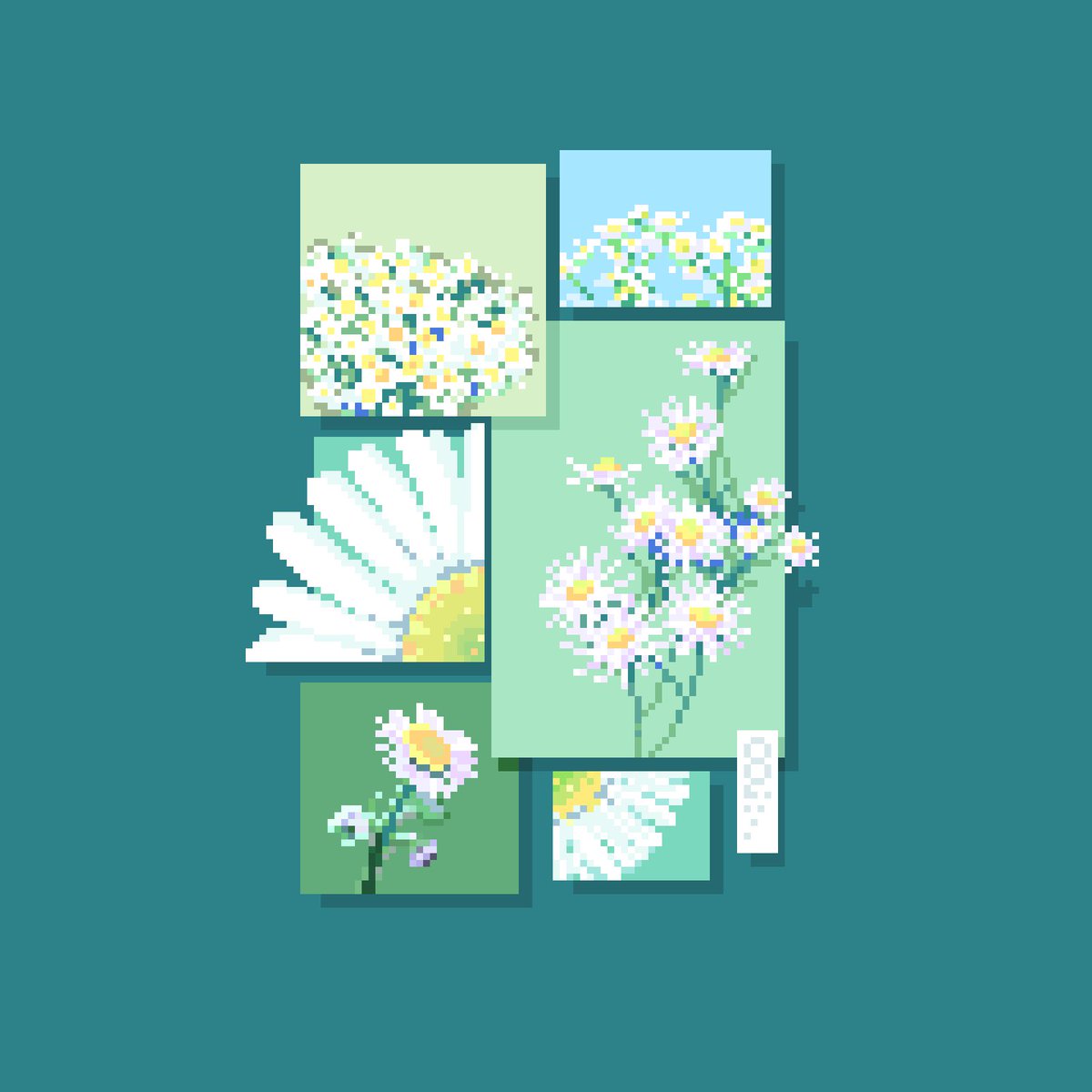 Erigeron annuus
#pixelart