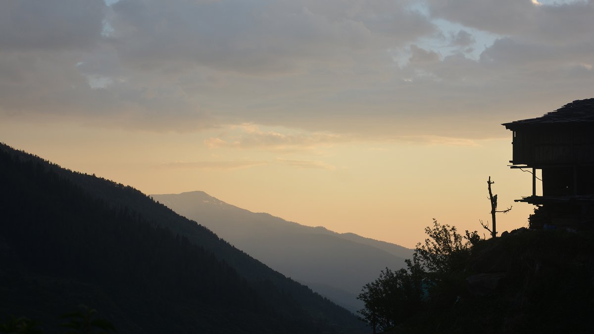 krushnar tweet picture