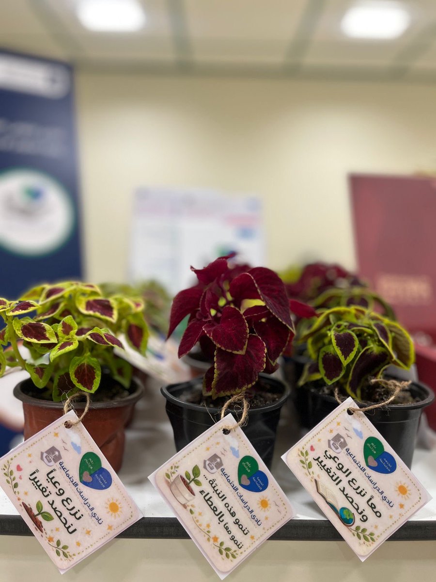 نادي الدراسات الاجتماعية tweet media