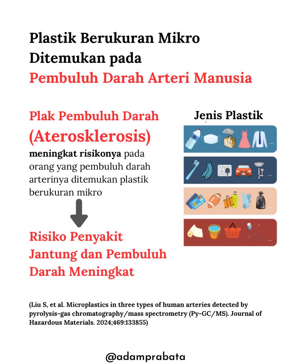 AdamPrabata's tweet photo. Beneran gak sih plastik ada di pembuluh darah arteri manusia?

Jurnal terbaru di Science of the Total Environment (2024) nemuin bahwa mikroplastik bisa ditemukan di pembuluh darah manusia, bahkan di arteri jantung (koronaria), aorta, dan karotis.
 Dan yang lebih ngeri, orang yang punya mikroplastik di arteri-nya ternyata punya risiko lebih tinggi kena serangan jantung dan stroke.

Mikroplastik ini bisa masuk lewat beberapa rute antara lain: -Udara (dihirup) -Makanan & minuman (saluran pencernaan) -Air hujan yang tercemar

Begitu masuk, partikel kecil ini bisa mengendap di pembuluh darah, dan menyebabkan plak (aterosklerosis).
