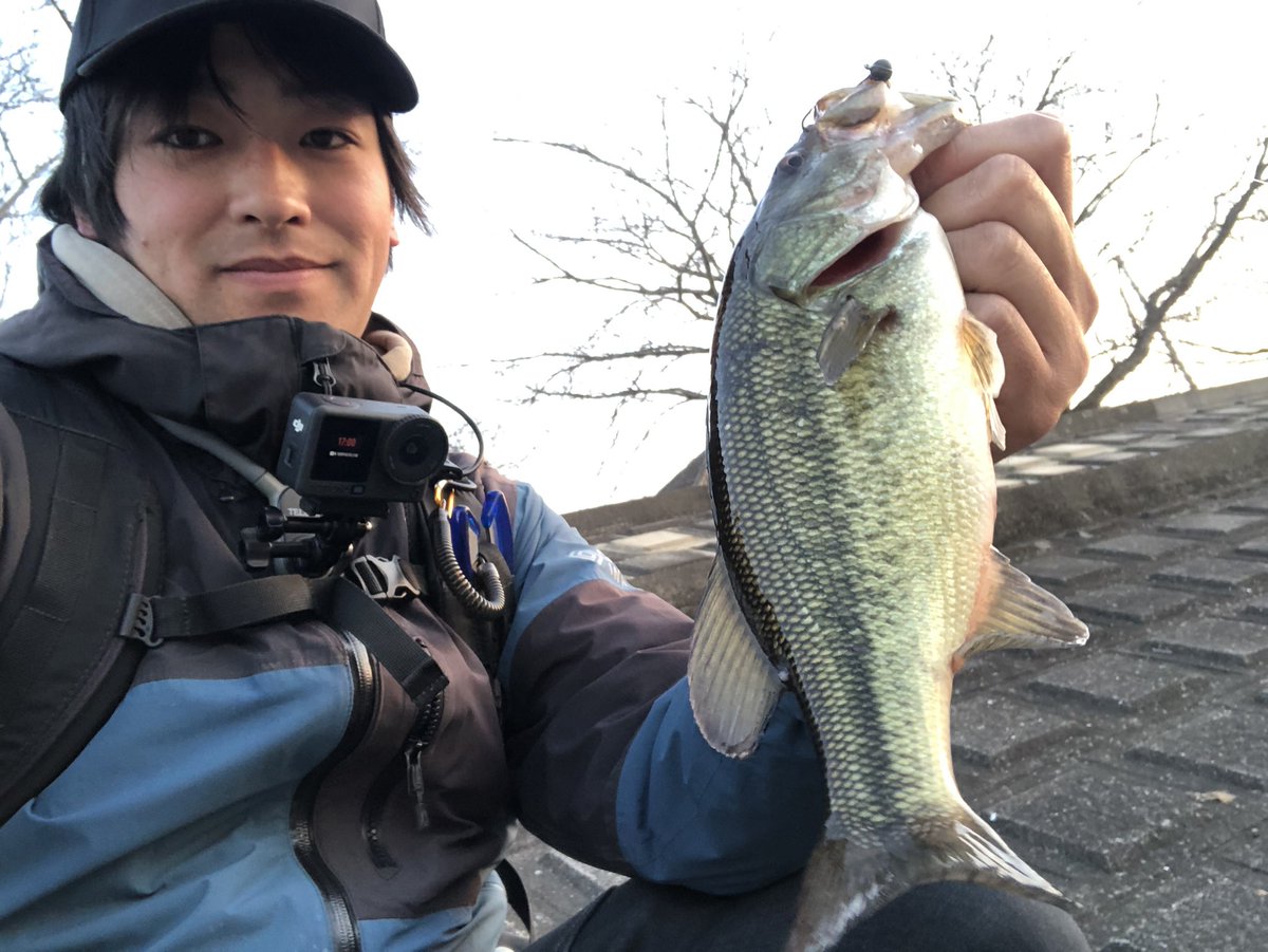 tom【tomのバス釣りch】🎣YouTube (@tombass106) / Posts / X