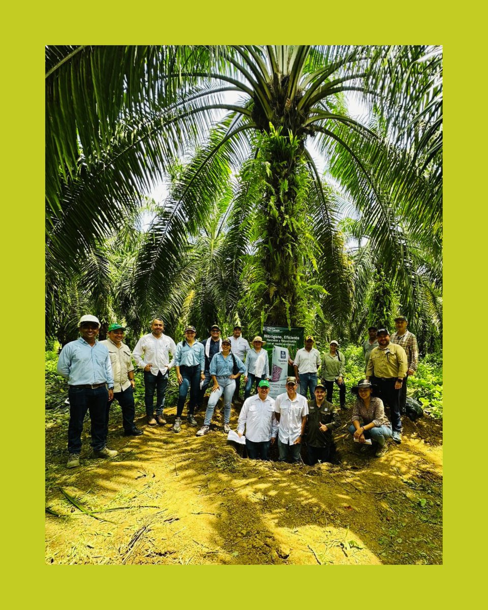 Yara International tweet media