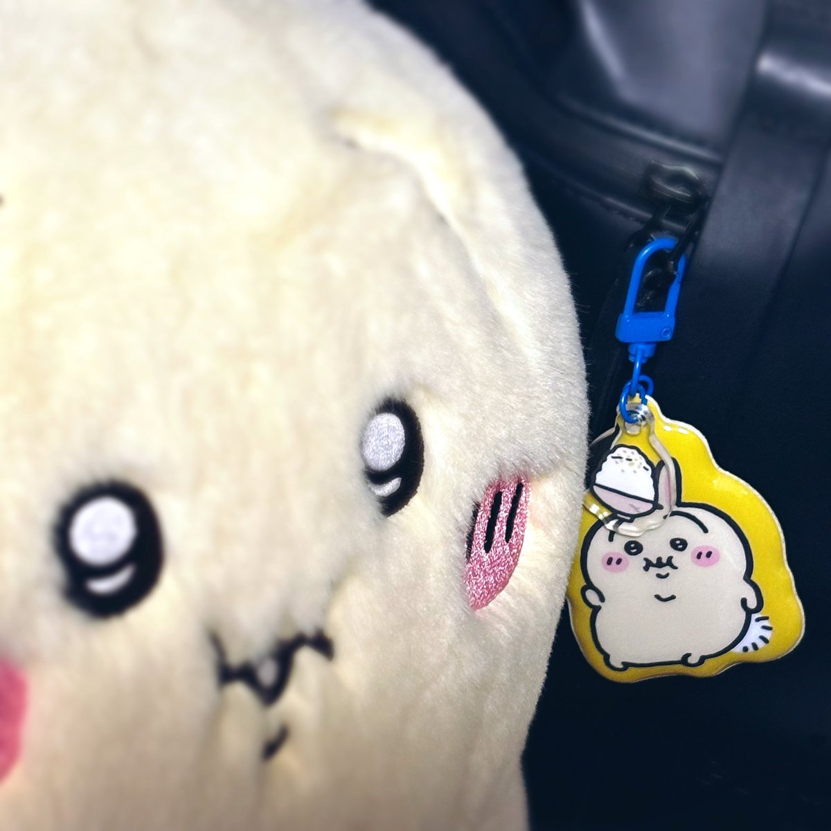 デブ（デラックス・ブリリアント）、愛おしすぎて仕事バッグにもつけた

私、がんばって働くよ
おまえの腹を満たすために