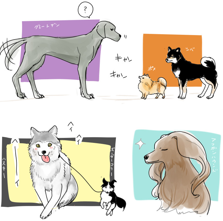 Post by ケマ on X: 🐶