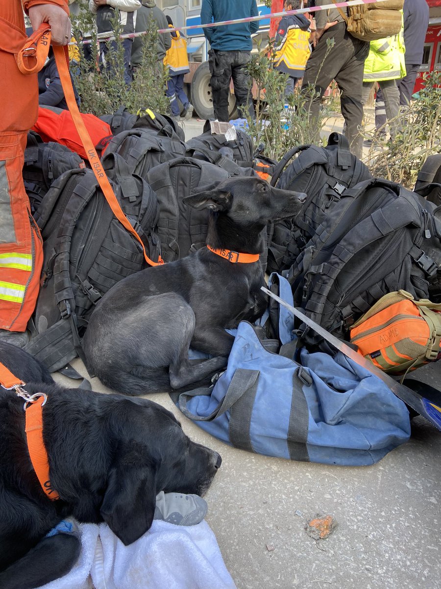 We did not forget...🙏
<a href="/UK_ISAR_TEAM/">UK ISAR</a>
#6subat2023
#TurkeyEarthquake