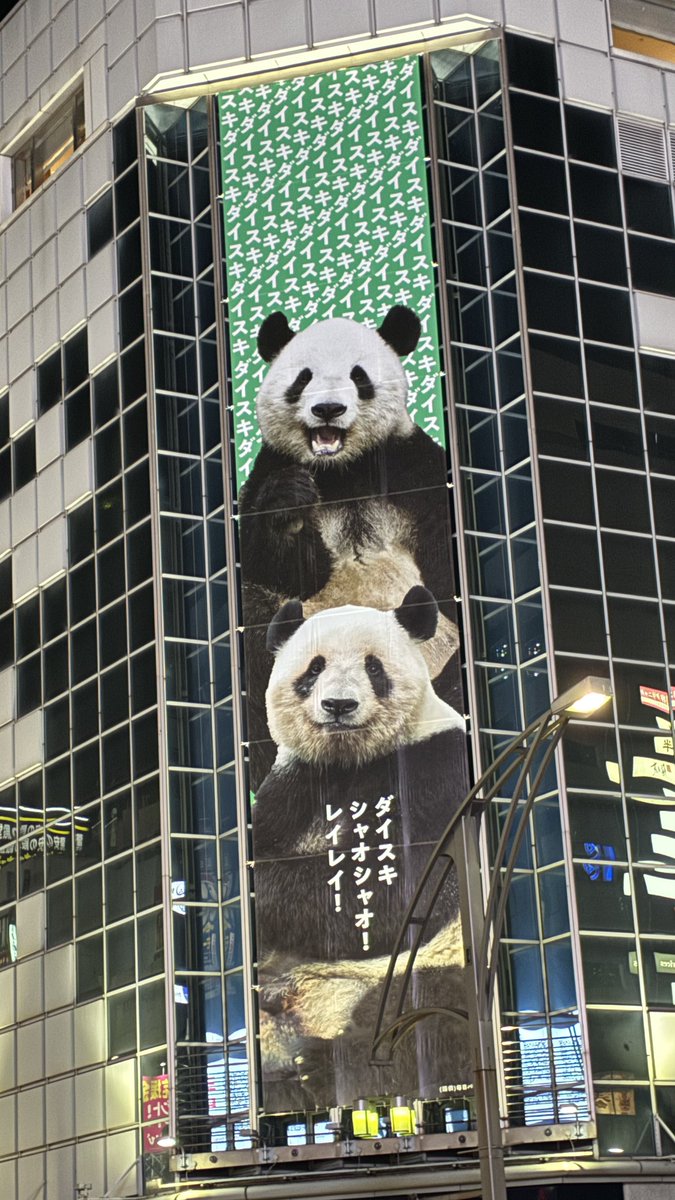 パンダ (@giantpanda99) / Posts / X