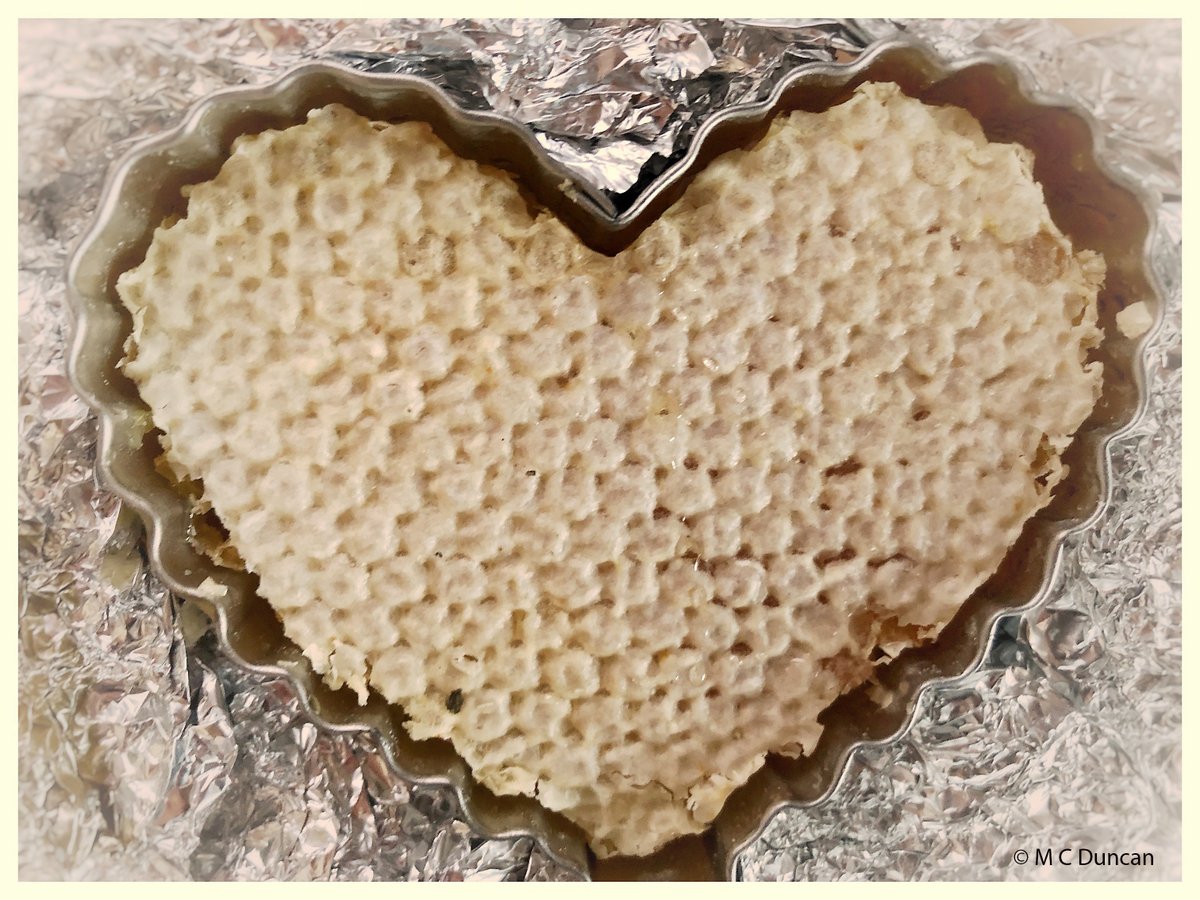 Meriet Duncan tweet media