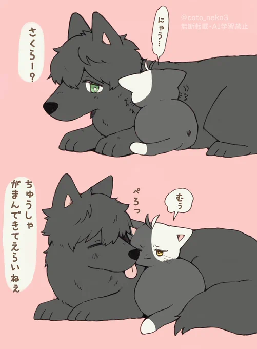 ちゅうしゃ
がまんできた🌸にゃん
かめさく 