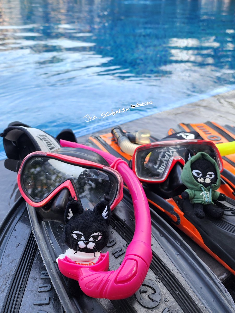 พอเริ่มร้อนก็อยากลงน้ำอีกละ อยากเติมสต๊อครูปดำน้ำฝากแจบอม 🌊🤿💙

#OneDiveMoment for <a href="/jaybnow_hr/">JAY B</a>

#scubalism wanna #godivingwithjayb 
#JAYB #제이비 #Def. #LimJaebeom