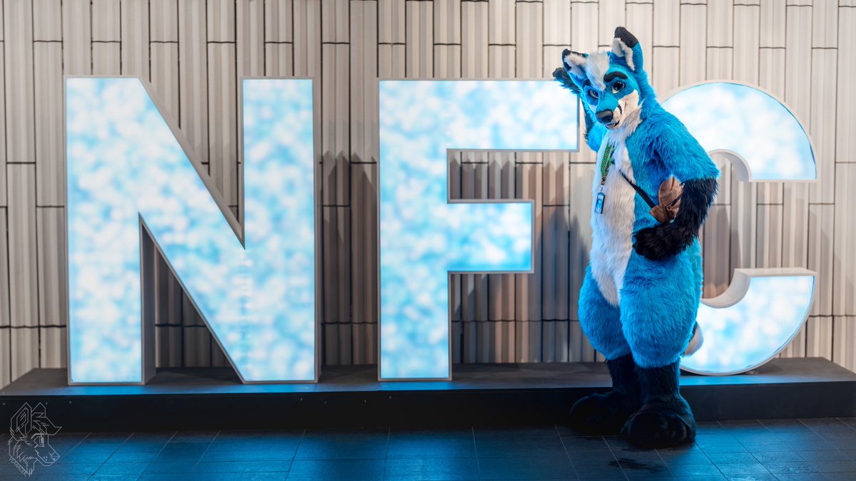 Curaçao tweet media