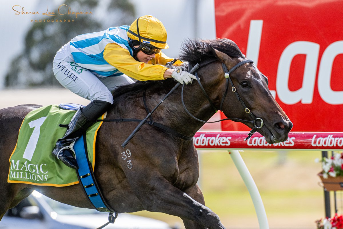 SHARON CHAPMAN tweet media