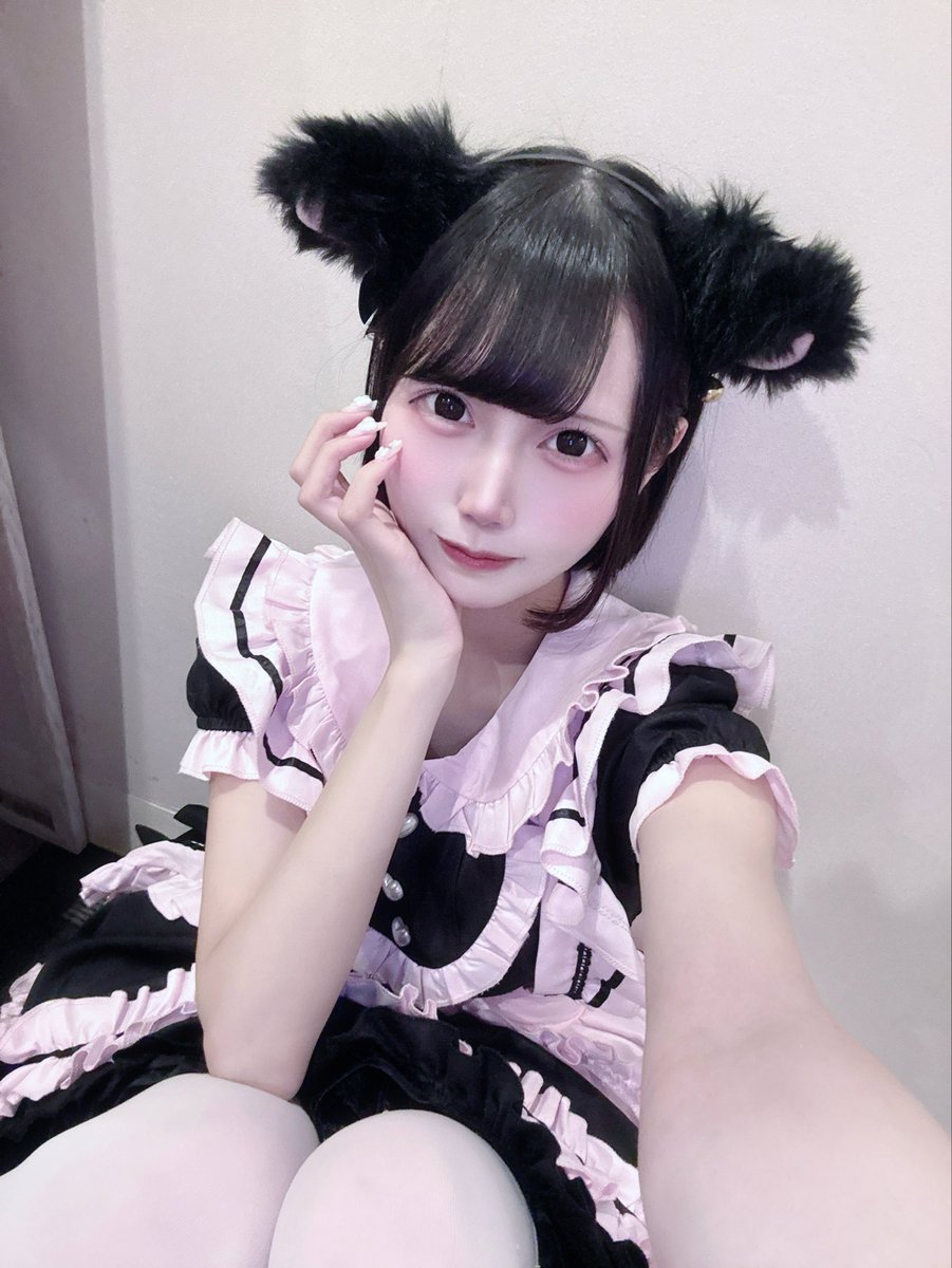 るるか【シュレ犬】 (@rurukachan_) / Posts / X