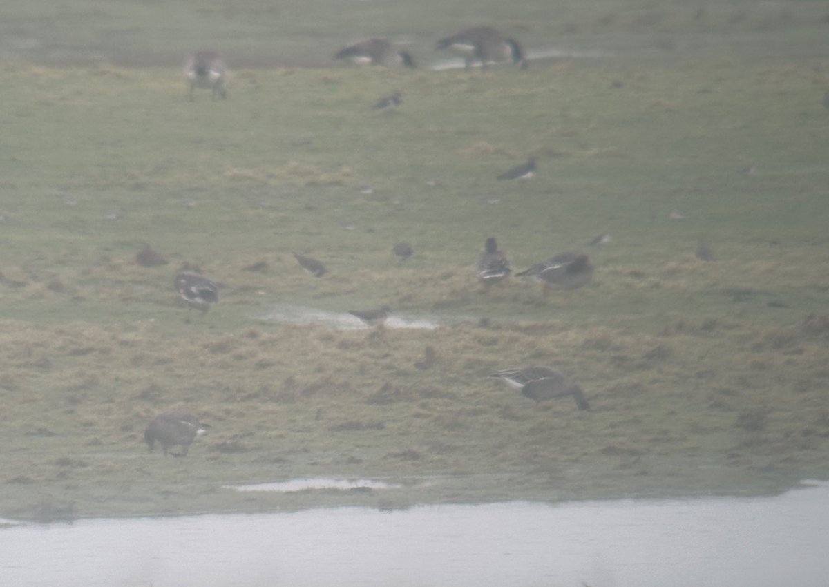 Tim Jukes tweet media