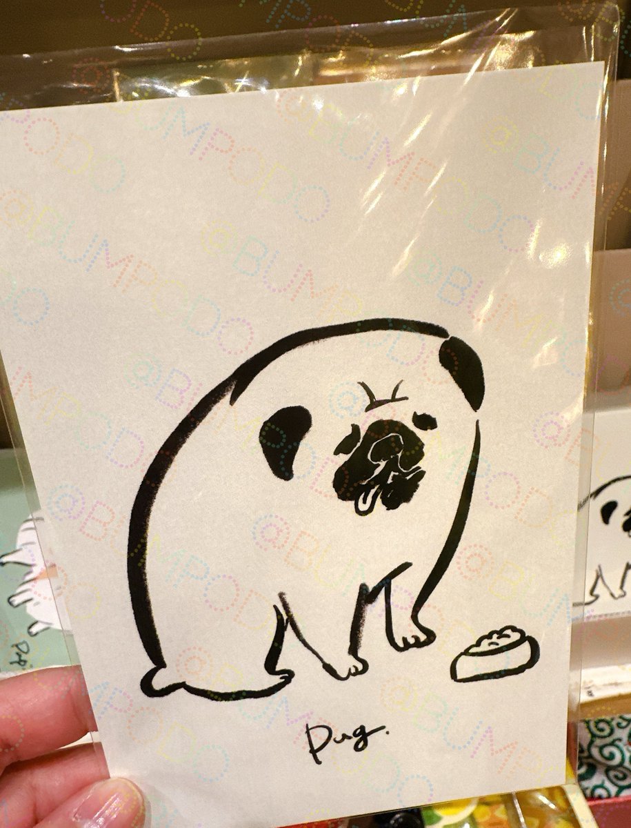 せいこせんせい(犬) (@seikosense) / Posts / X