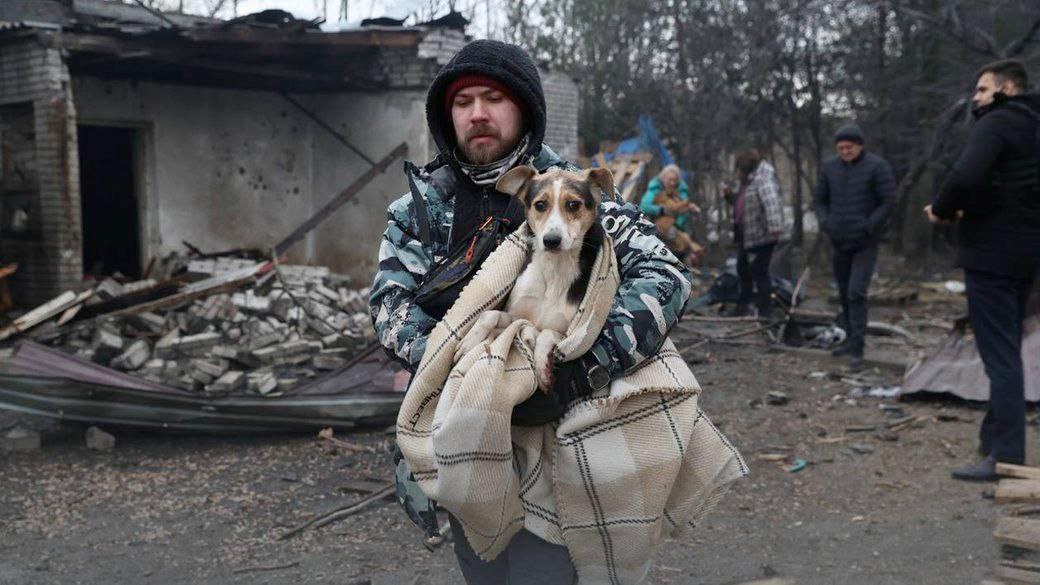 Olgafotografiya's tweet image. Рашисти в Запоріжжі розбомбили собачій притулок
Поранили працівницю
8 тварин вбили та понад 20 скалічили
І жодна зоозахисна світова гидота і слова не ляпне
Бо не заплачено