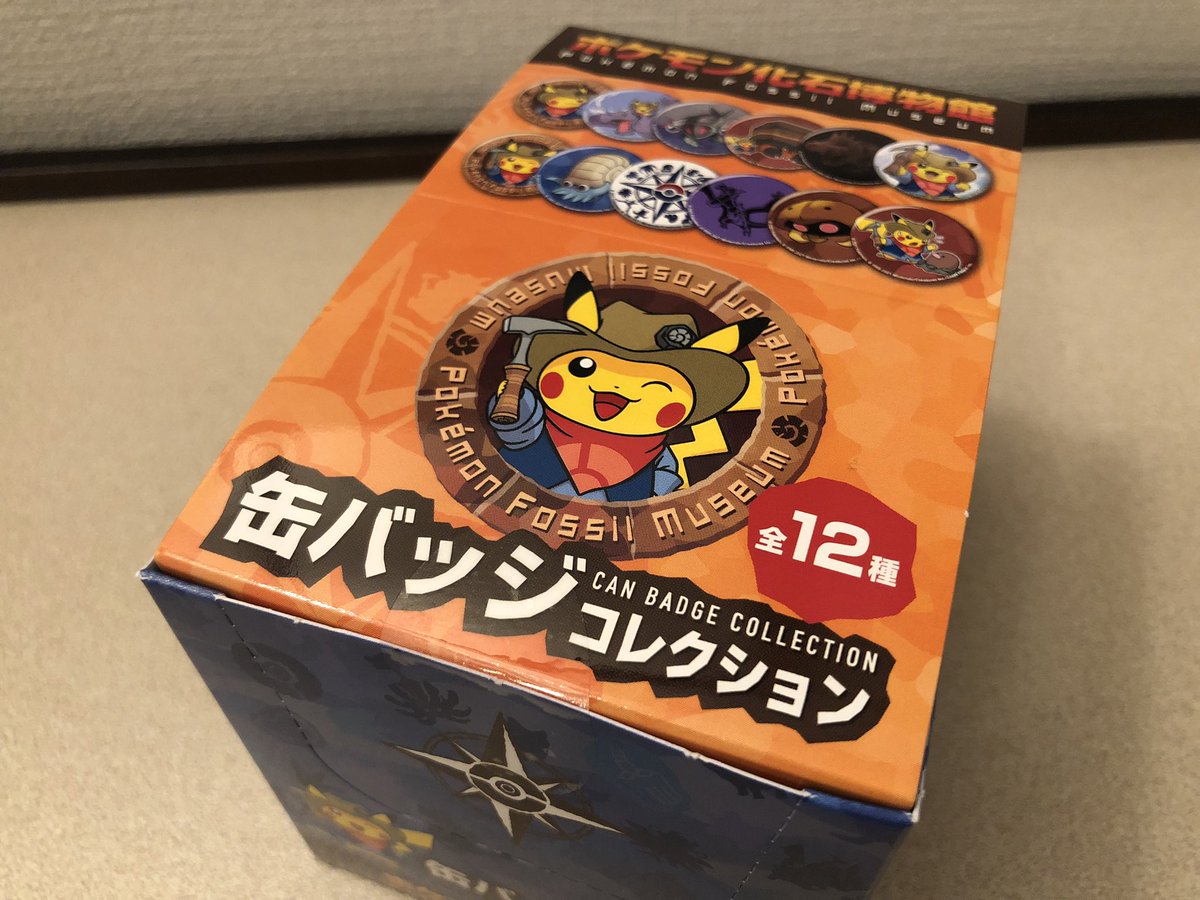 ポケパークに行ってカセキポケモンのピンズをコンプしたくなってしまっ