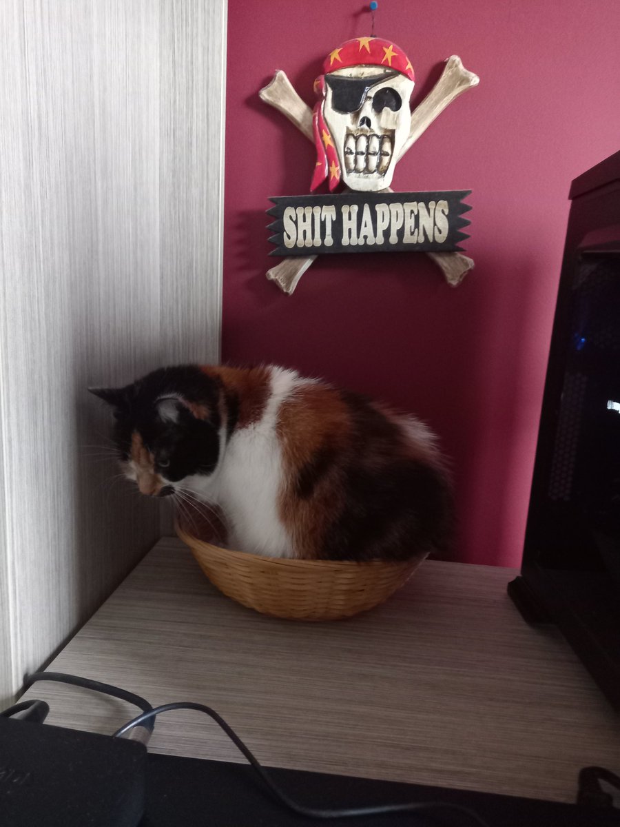 Basketcase