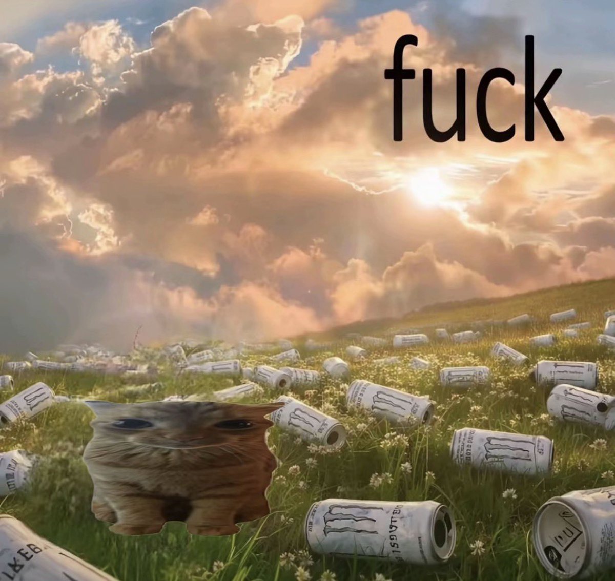 h (@hiakkyy) on Twitter photo 