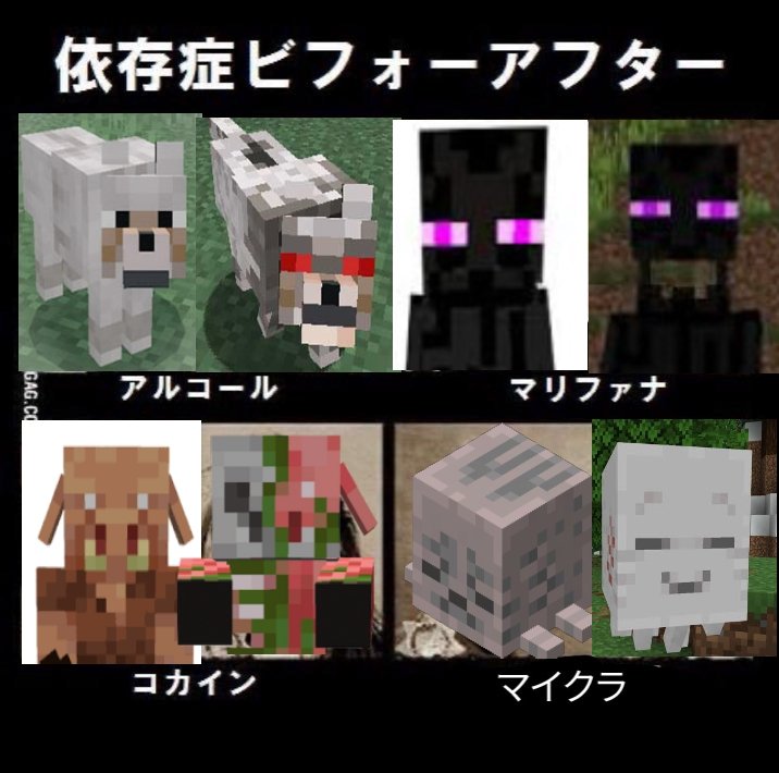 マイクラ版依存症ビフォーアフター。　　　　　　　　　　　　　　　　
#Minecraft #マイクラ #マインクラフト