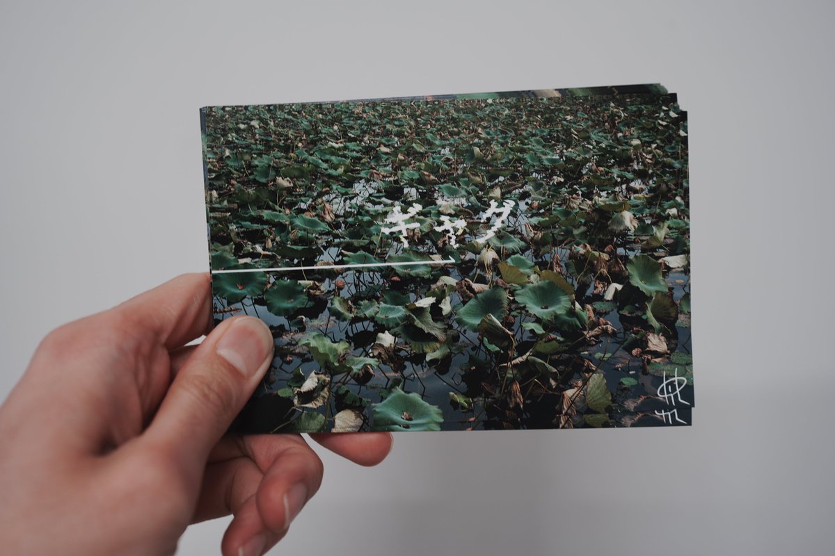 こちらの写真展DM、お預かりしていましたが今週末より配布開始いたします！

会期は2/21（金）～23（月）となりますので、皆さまぜひ足を運んでみてください～！！