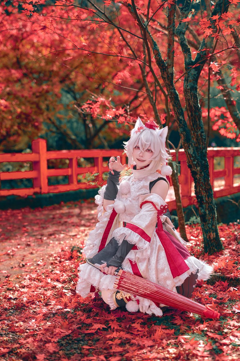 Cosplay / コスプレ 東方Project / 犬走 椛🍁