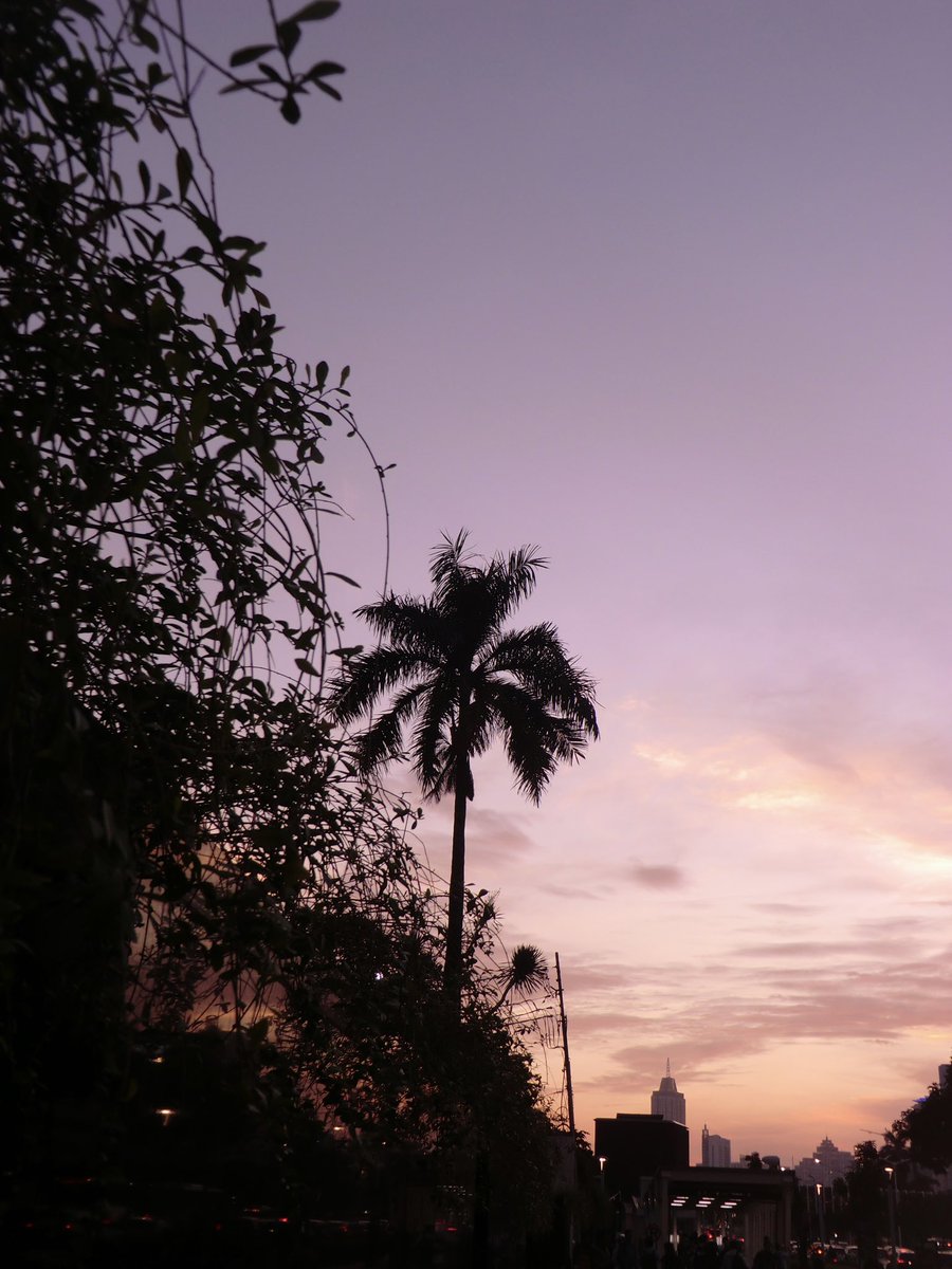 krowkroww tweet media