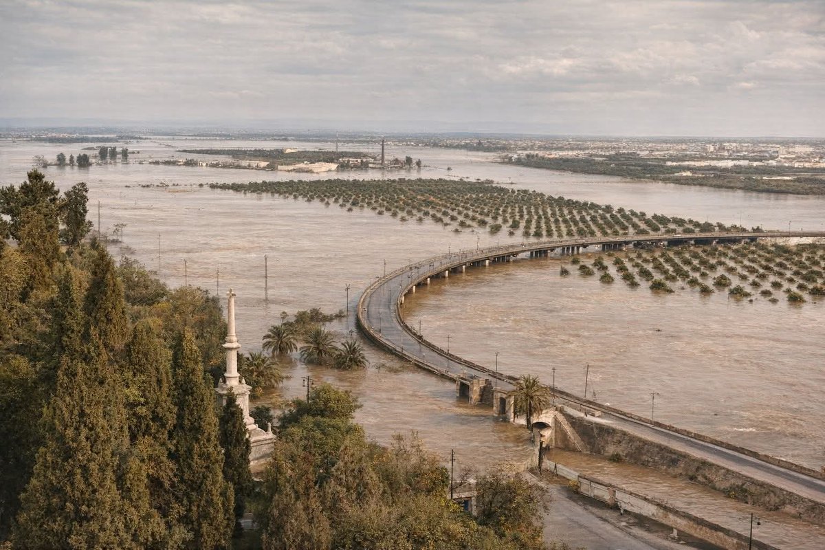 joseangelrios92's tweet image. Crecida del Guadalquivir en febrero de 1963.

Fotografía tomada desde las murallas de San Juan de Aznalfarache.