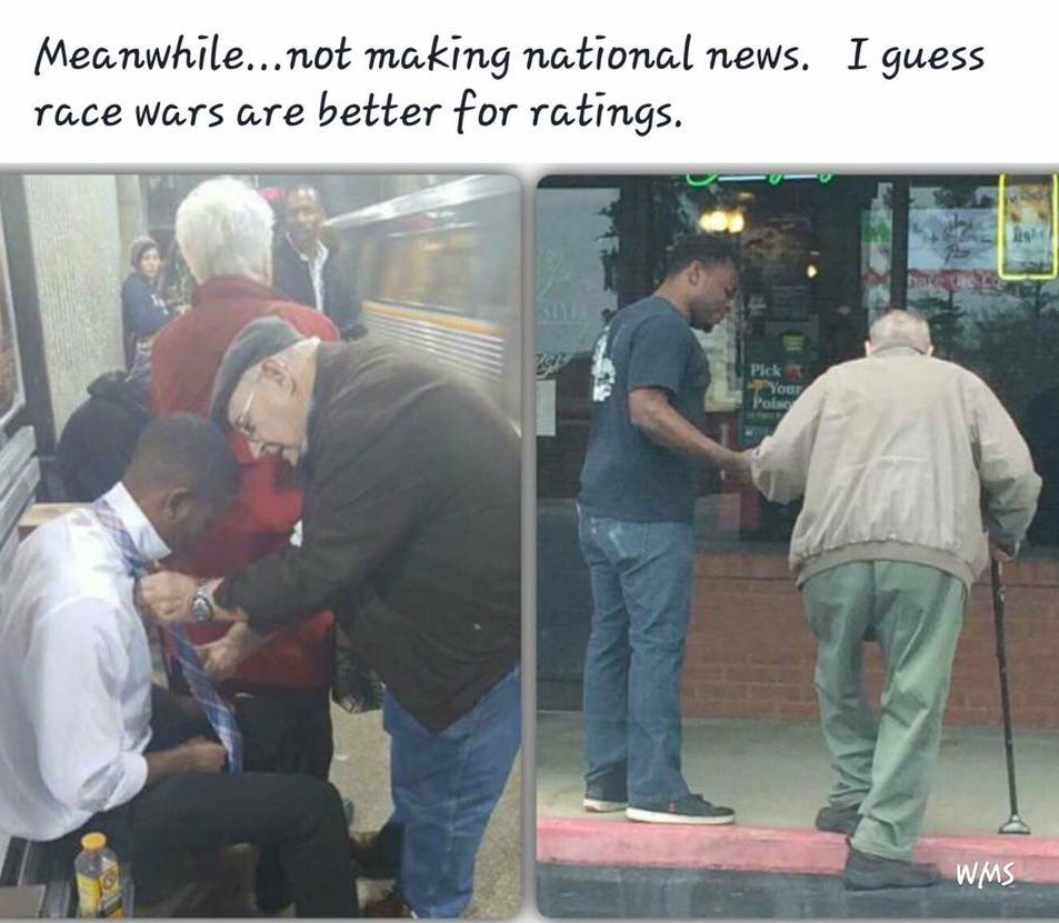 redpillbot tweet media