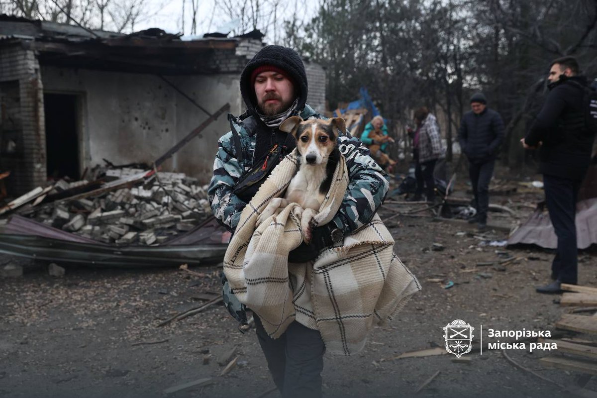 Під час російської атаки постраждав притулок для собак у Запоріжжі.

Вісім тварин загинули, понад 20 отримали поранення. Песиків розвозять по клініках, де їм нададуть необхідну допомогу.