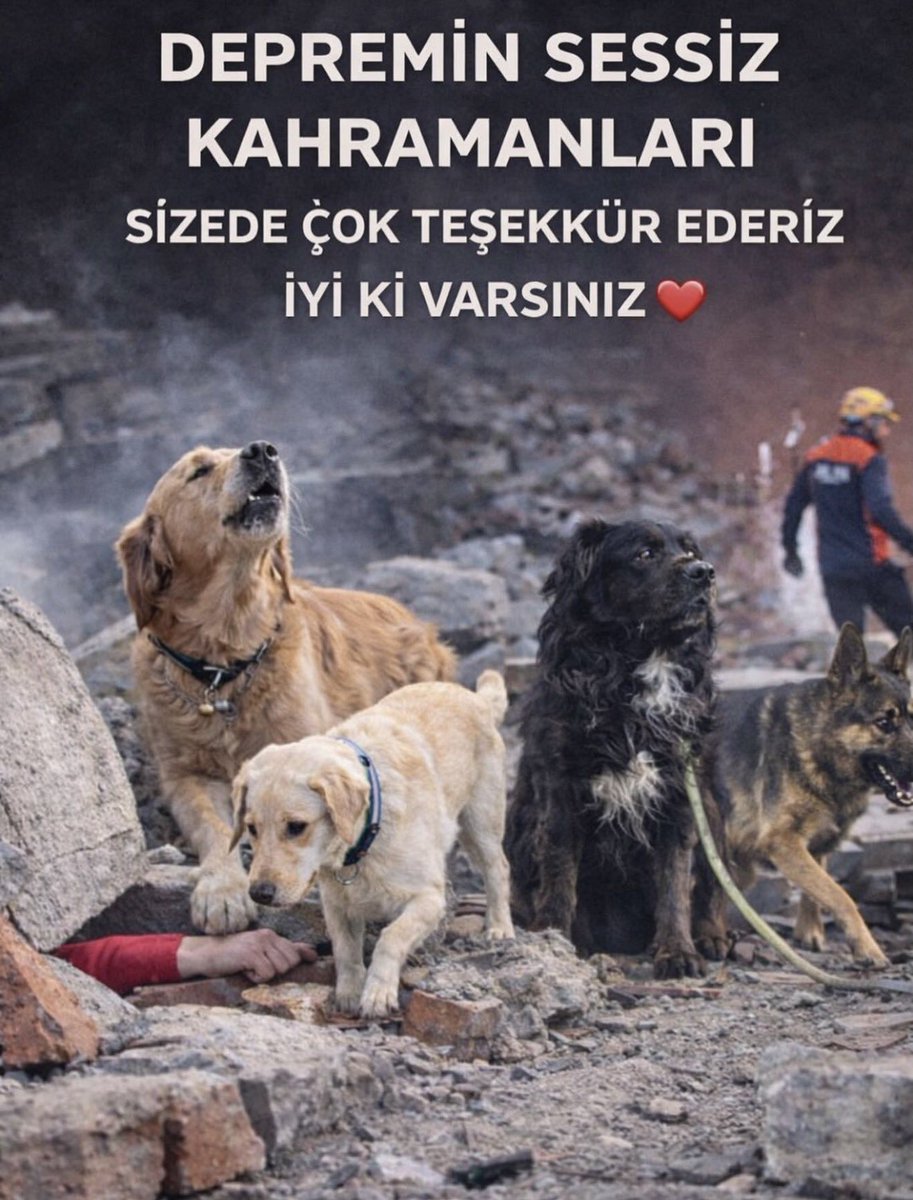 Özgür Aybaş (@aybasozgur) on Twitter photo 