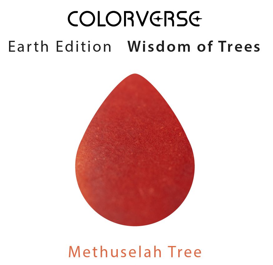 Colorverseinkjp's tweet photo. Earth Edition
【Wisdom of Trees】
57 Methuselah Tree
インク色:ブラウン系
容量:5ml
価格:990円(税込)
「メトセラ」とは、世界最古級のブリッスルコーンパイン(木)の名前
インク色は赤みの強い茶色で、悠久の樹の今なお続く生命を感じます✨
S
#colorverseink #colorverse #カラーバース https://t.co/s2gOWh9nMG