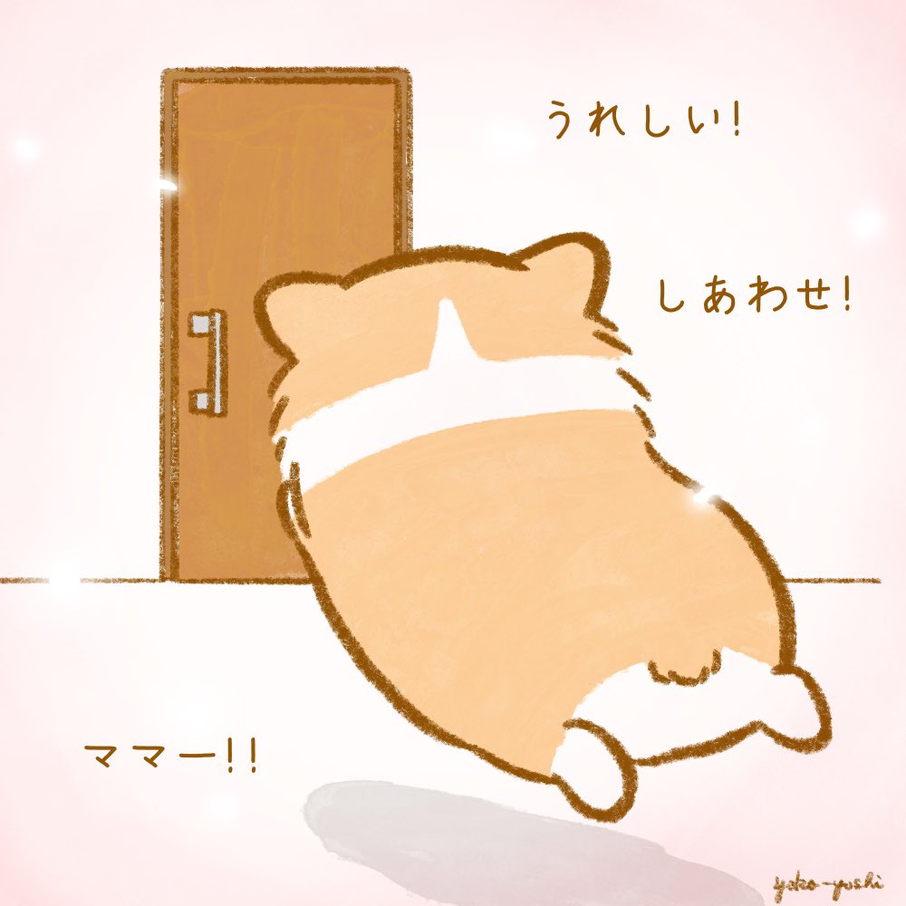 ぼくしあわせ🐶