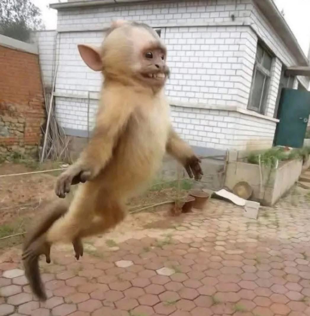 how high I be feeling nikirudi kwa family gathering after nimetumwa nikatafte my favorite cousin mwenye alitumwa na hajarudi bado from asubuhi 😂😂