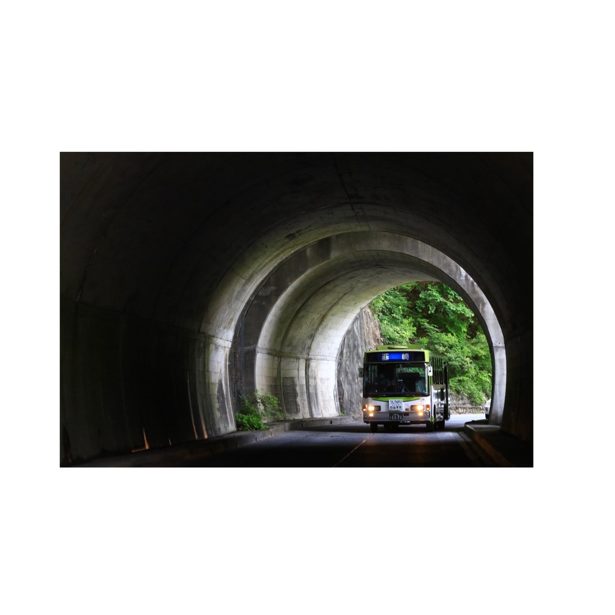 レトロな見た目に反してシティーボーイなカラーを纏っているのがカッコよかったです

行けばいる存在がいないのは悲しい限りです

ありがとうございました