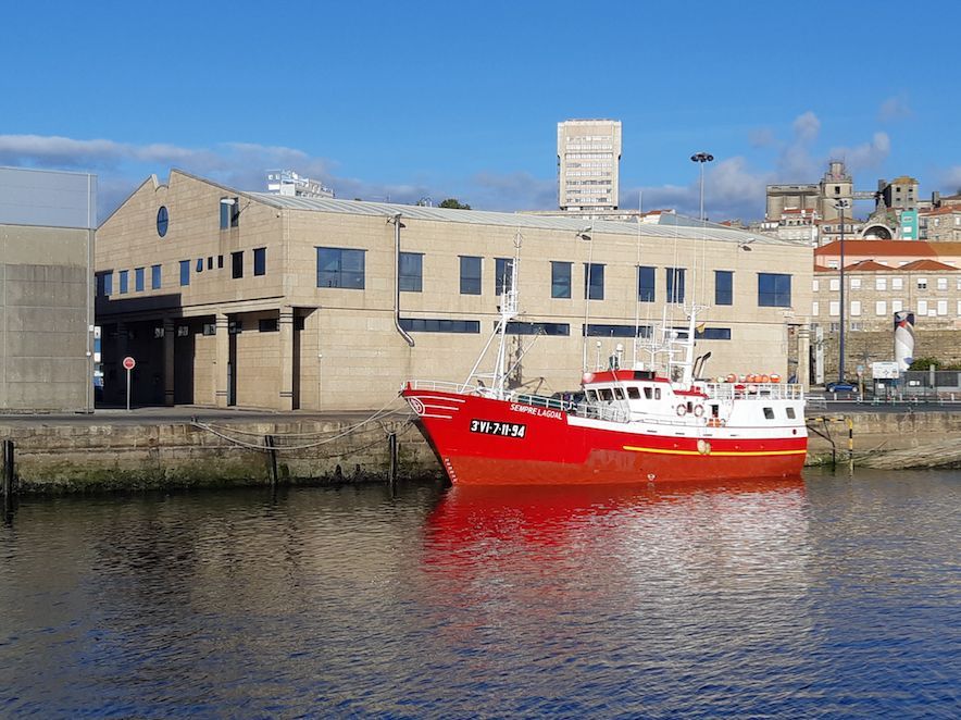 Industrias Pesqueras tweet media