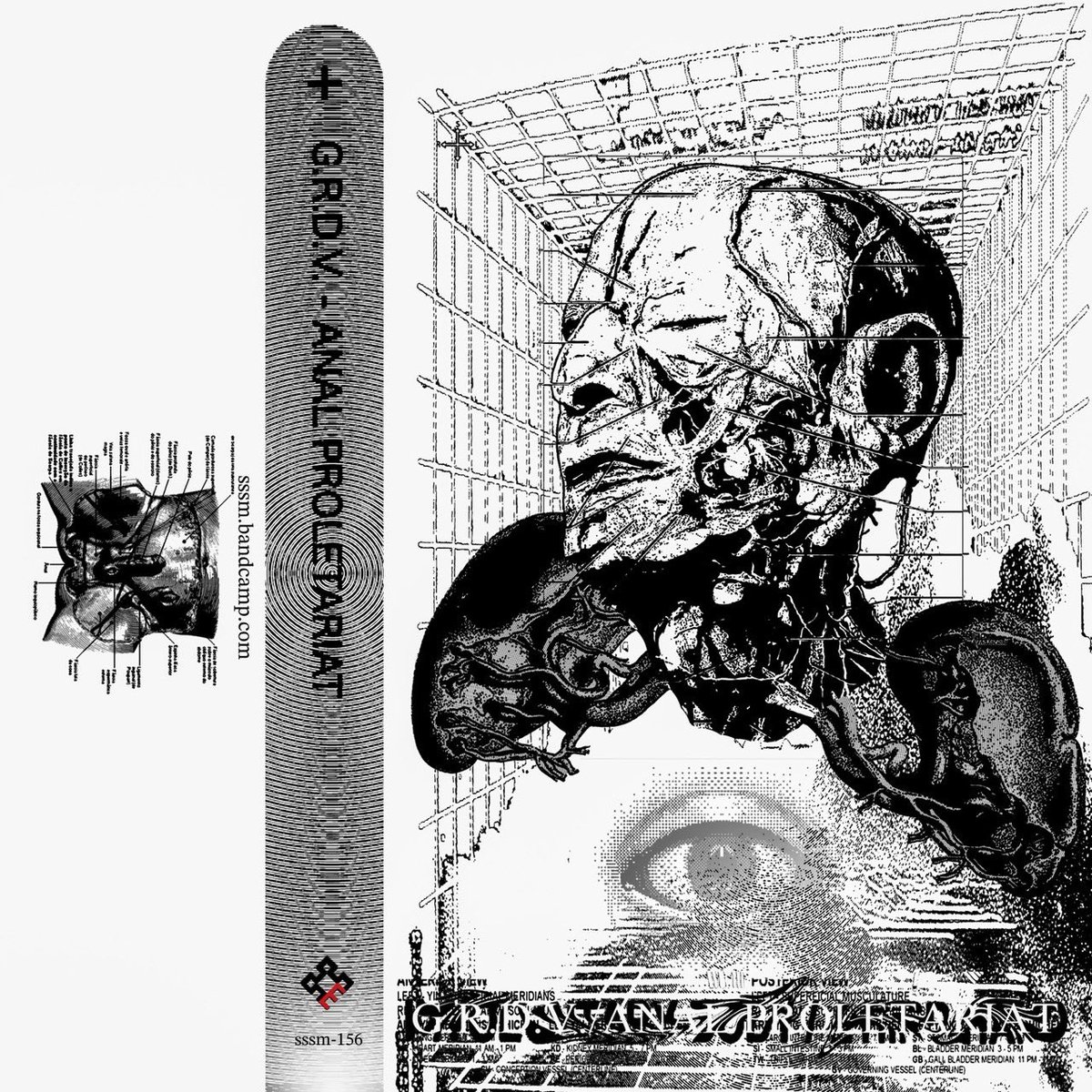 grdv_sn's tweet image. G.R.D.V.
1st Album ｢Anal Proletariat ｣
2026年2月6日 
日本のエクスペリメンタルレーベルsssmからリリース
形態：カセット
価格：1500jpy
品番：sssm-156

5曲収録

Bandcamp: sssm.bandcamp.com/album/anal-pro…

販売はこちらから

sssm.thebase.in