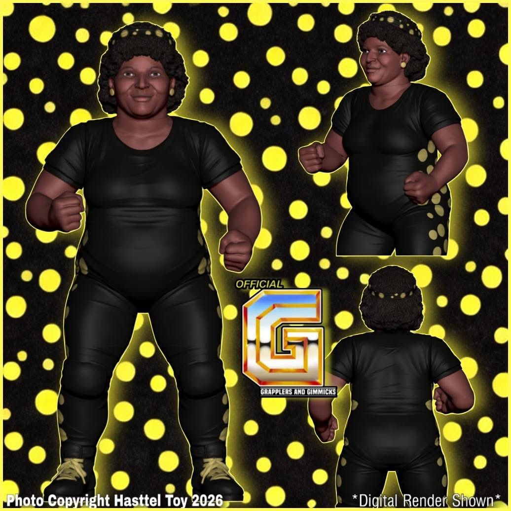 Grapplers & Gimmicks tweet media