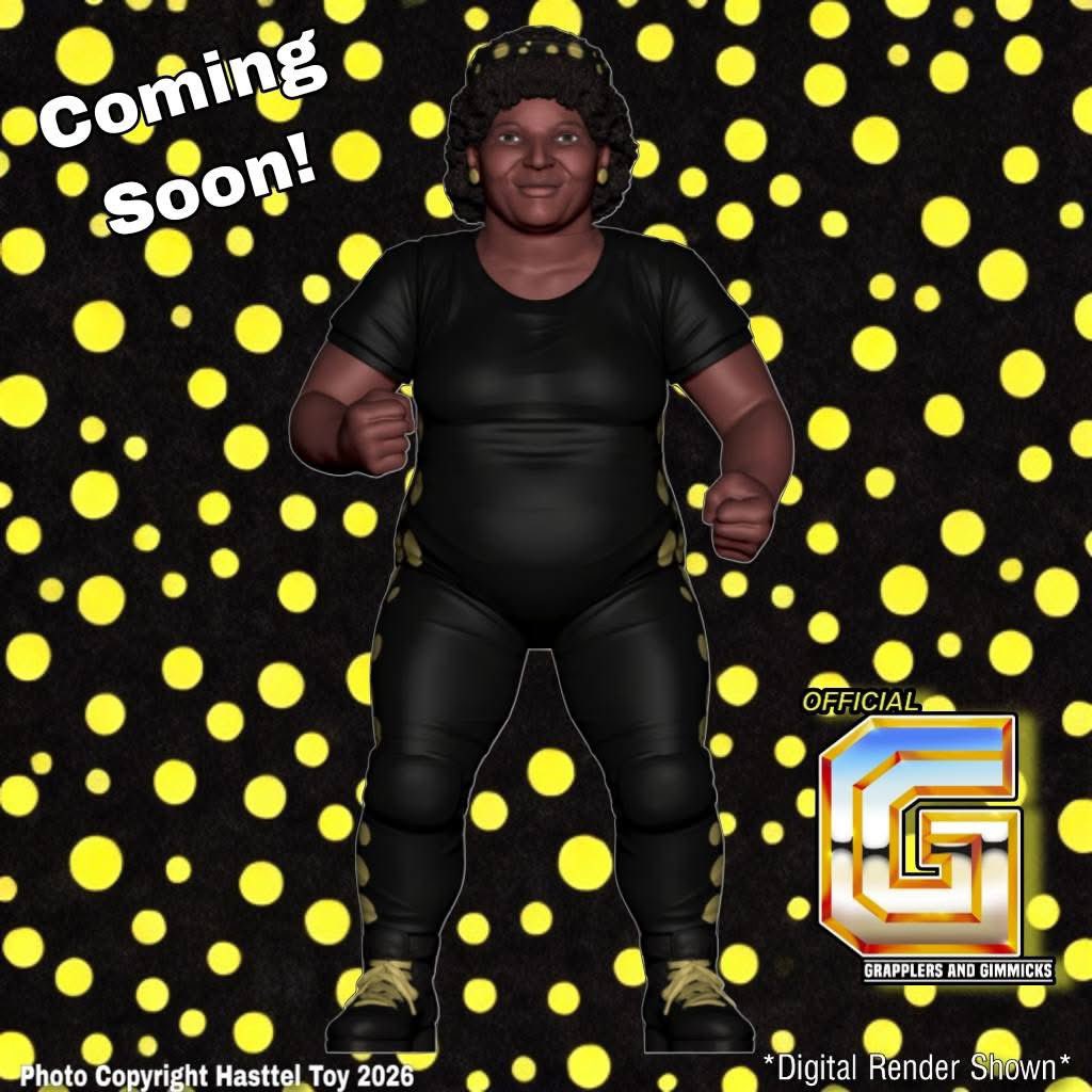 Grapplers & Gimmicks tweet media