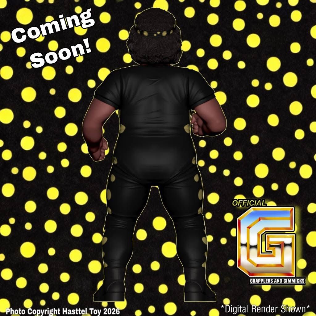 Grapplers & Gimmicks tweet media