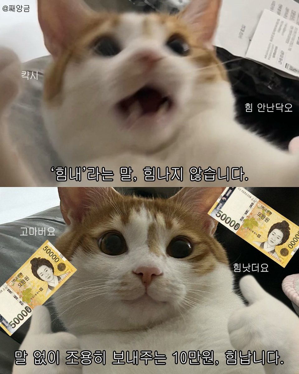 힘내라는 말, 힘나지 않습니다.