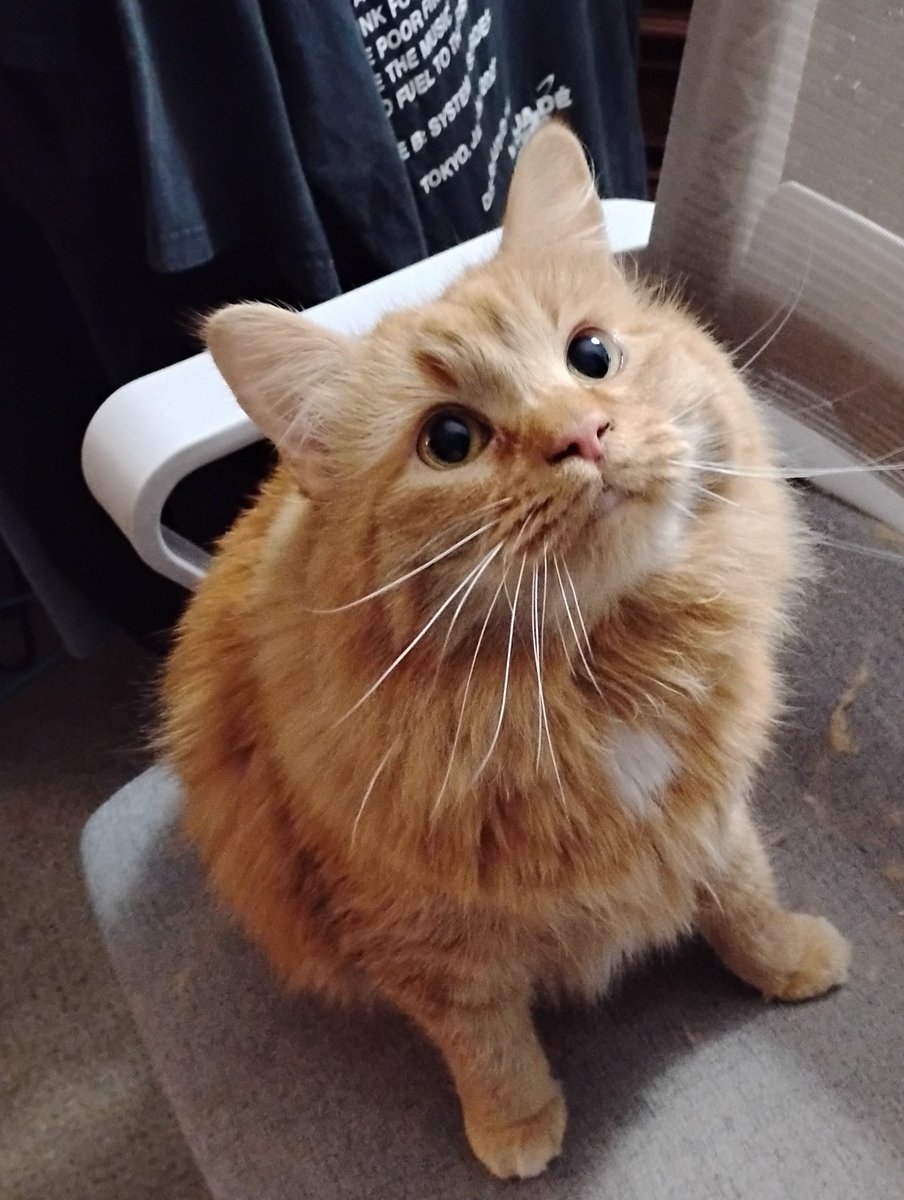 vx-underground tweet media