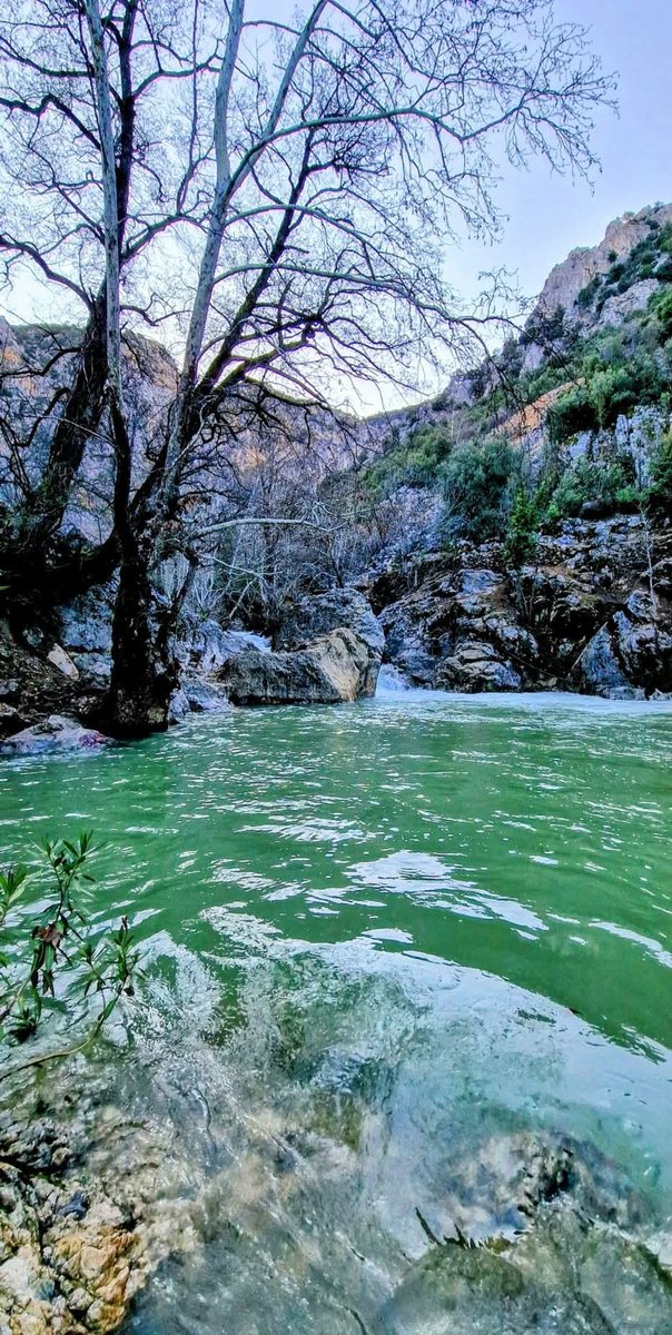 YÖRÜK🇹🇷🍀 tweet media