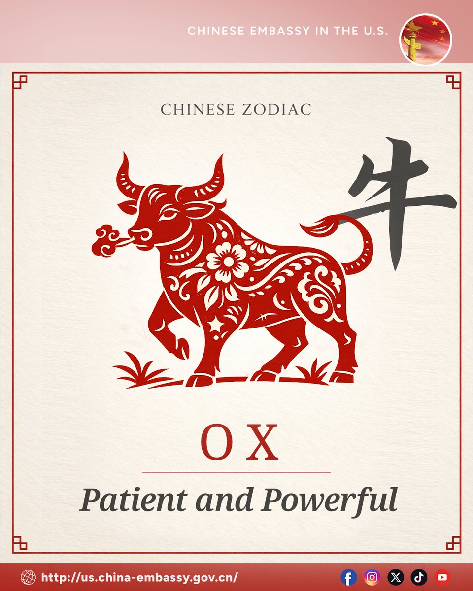 ChineseEmbinUS's tweet photo. Silent strength, steady steps.
In the Chinese Zodiac, the Ox stands for patience, resilience, and quiet determination — moving forward not by speed, but by persistence.
#ChineseZodiac #ChineseNewYear #ChineseCulture https://t.co/TNtM70jUoF