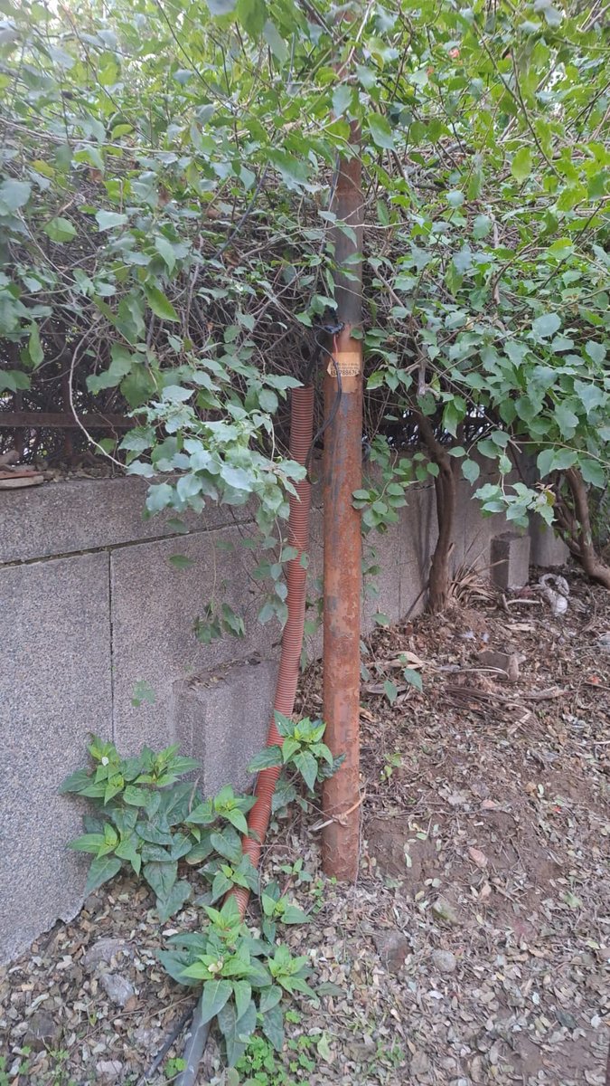 Rajeevsaket tweet media